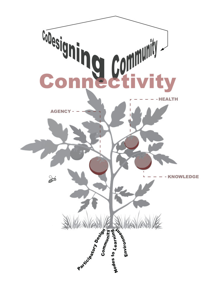Cover of the published study: CoDesigning Community Connectivity